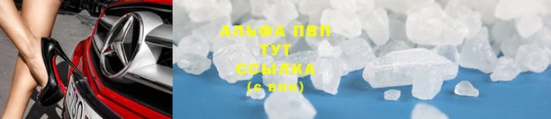 бошки Новодвинск