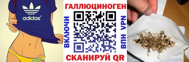 Купить закладки  Коммунар  Галлюциногенные грибы MAGIC MUSHROOMS 